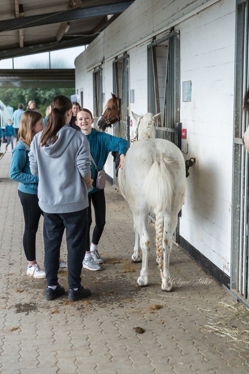 Bild 14 - Pony Akademie Turnier